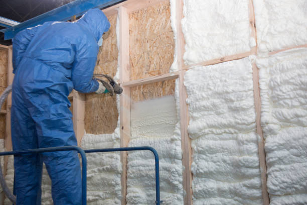 Best Attic Insulation Installation in Summit, NJ